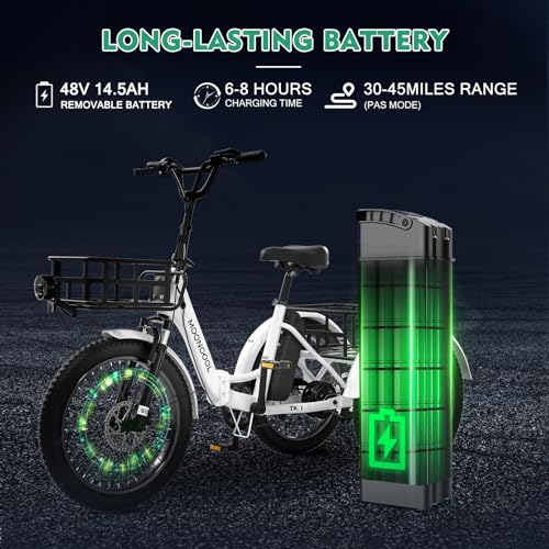 LILYPELLE 500W Folding Electric Tricycle for Adults with Large Basket P963646