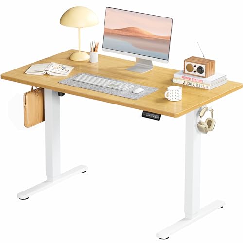 Adjustable Height Electric Standing Desk 55x24 Inch Black W5266