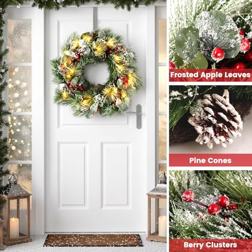 DomeStar 24 Inch Christmas Wreath with Lights, Outdoor Waterproof with Pine Cones C51545