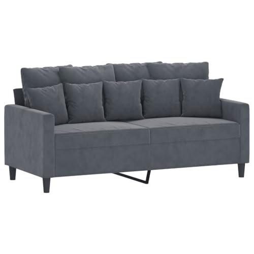 vidaXL 2-Piece Dark Gray Velvet Sofa Set with Padded Seats X913678