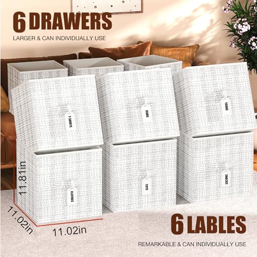 Cube Storage Organizer with 6 Printed Bins and Labels Y73983