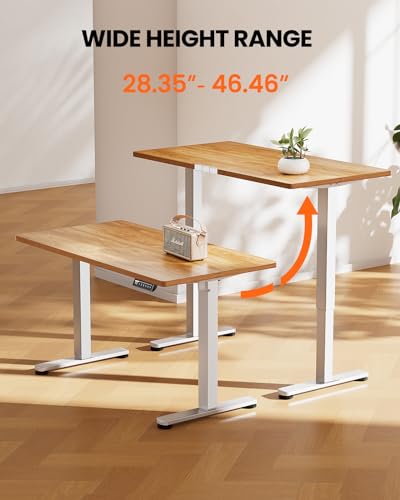 ErGear Height Adjustable Electric Standing Desk 48 x 24 Inches, Walnut S608