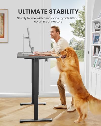 ErGear Height Adjustable Electric Standing Desk 48 x 24 Inches, Walnut S608