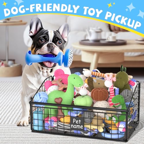 Dog Toy Storage Basket, Metal Toy Box for Dogs, Black D40281