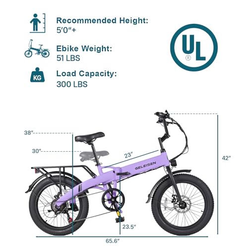 Folding Electric Bike for Adults, 20" Fat Tire, 374Wh Battery R9608