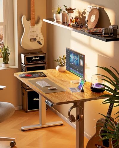 ErGear Height Adjustable Electric Standing Desk 48 x 24 Inches, Walnut S608