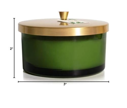 Thymes Frasier Fir Scented Candle, 3-Wick, 17 oz W528684