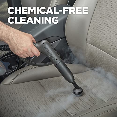 Wagner Spraytech 915e On-Demand Steam Cleaner & Wallpaper Removal, 18 Attachments D4490