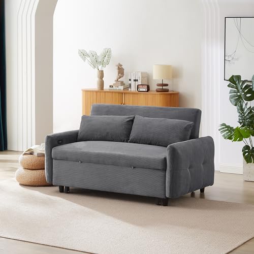 Merax Pull-Out Sofa Bed with Adjustable Backrest, 2 Seat Loveseat, USB Ports, Light Blue S417