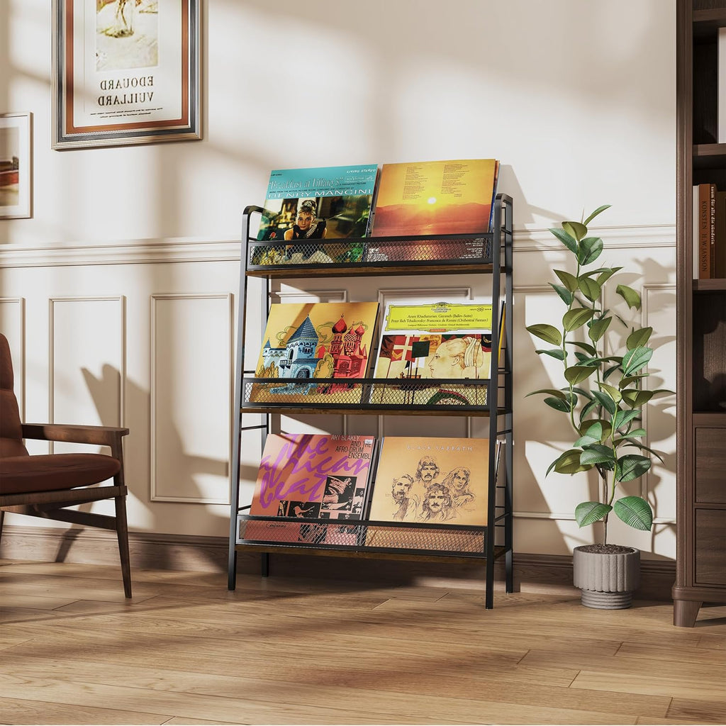 Vinyl Record Storage Holder 3 Tier Large Capacity LP Rack Solid Metal Frame Z559634