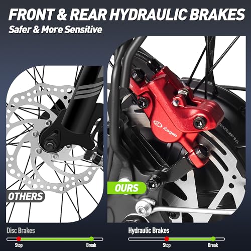 Dual Motor Electric Bike 3000W 23AH for Adults UL Certified L426