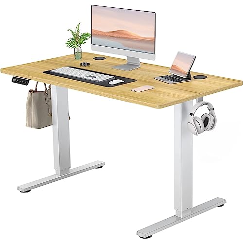 Adjustable Height Electric Standing Desk 55x24 Inch Black W5266