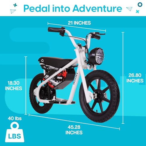 Weeler Electric Mini Bike for Kids Ages 6 & Up, 200W, 14in Tire Y9687