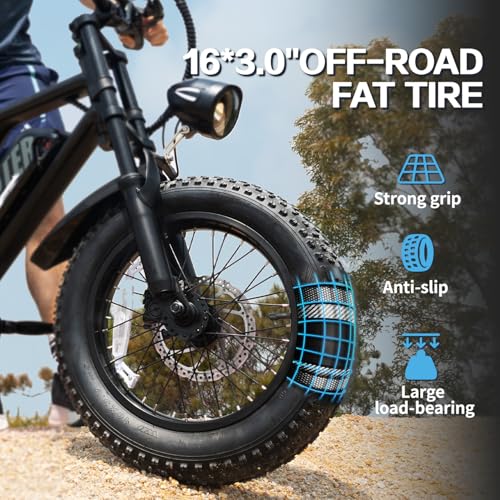 16'' Fat Tire Electric Bike for Adults, 500W, Removable Battery G58988