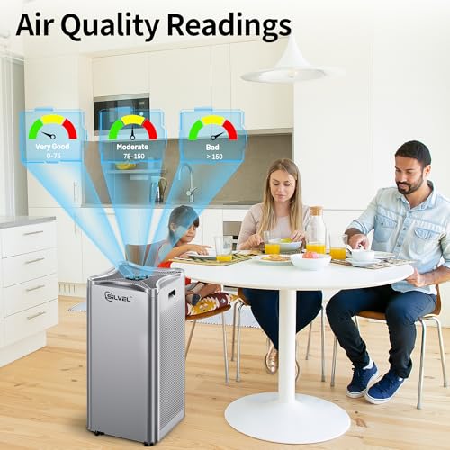 Air Purifier for Extra Large Room with H13 HEPA Washable Filter L613