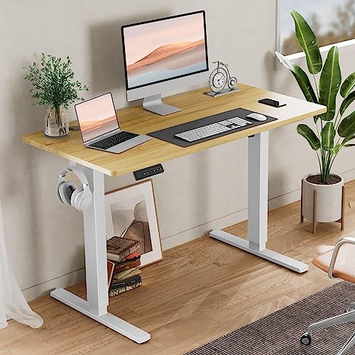 Adjustable Height Electric Standing Desk 55x24 Inch Black W5266
