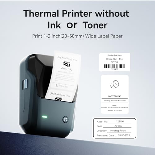 NIIMBOT B1 Label Maker, 2 Inch Bluetooth Thermal Label Printer N79312