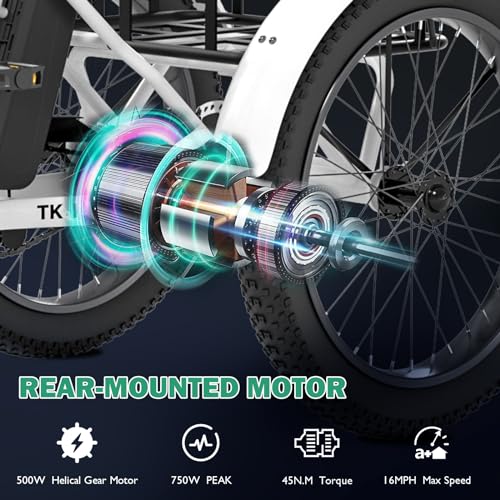 LILYPELLE 500W Folding Electric Tricycle for Adults with Large Basket P963646