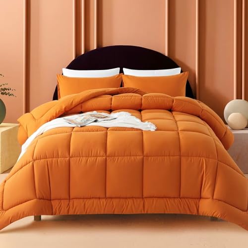 WhatsBedding Queen Comforter Set, Black Lightweight 3 Pieces Bedding Set for All Season Soft Down Alternative Bed Set with 2 Pillowcases, Queen Size,88"x90"