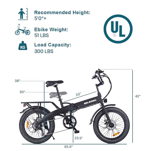 Folding Electric Bike for Adults, 20" Fat Tire, 374Wh Battery R9608