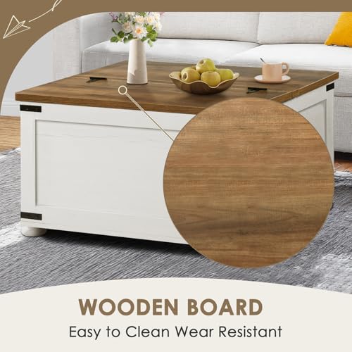 Farmhouse Lift Top Coffee Table with Hidden Storage, Black X163414