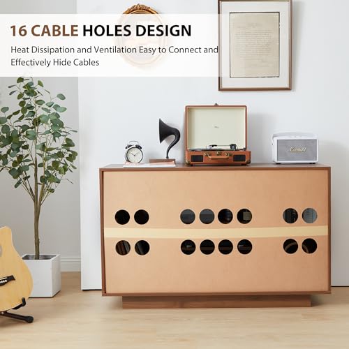 Stereo Cabinet with 5-Tier Shelves for Media Storage, Black T6960