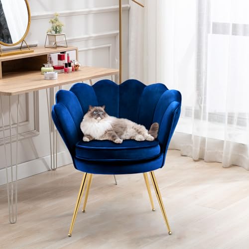 Velvet Accent Chairs Set of 2 with Golden Legs, Grey G515101
