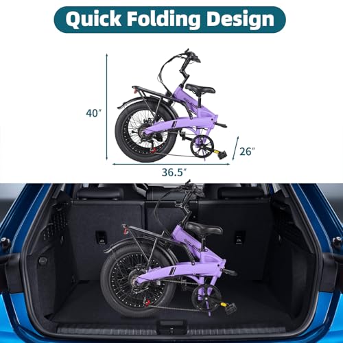 Folding Electric Bike for Adults, 20" Fat Tire, 374Wh Battery R9608
