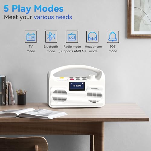 ANSTEN Portable Wireless TV Speaker for Elderly, Dual Bluetooth Loudspeakers with LCD Display E4919