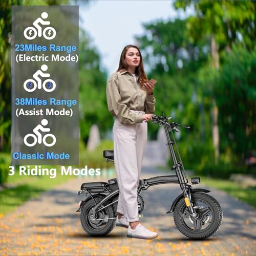 Peak 500W Folding Electric Bike for Adults, 14" Mini Ebike with Removable Battery D85153