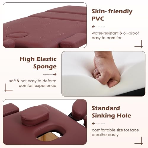 PayLessHere Massage Bed Portable Folding Spa Table with Non-Woven Bag P611882