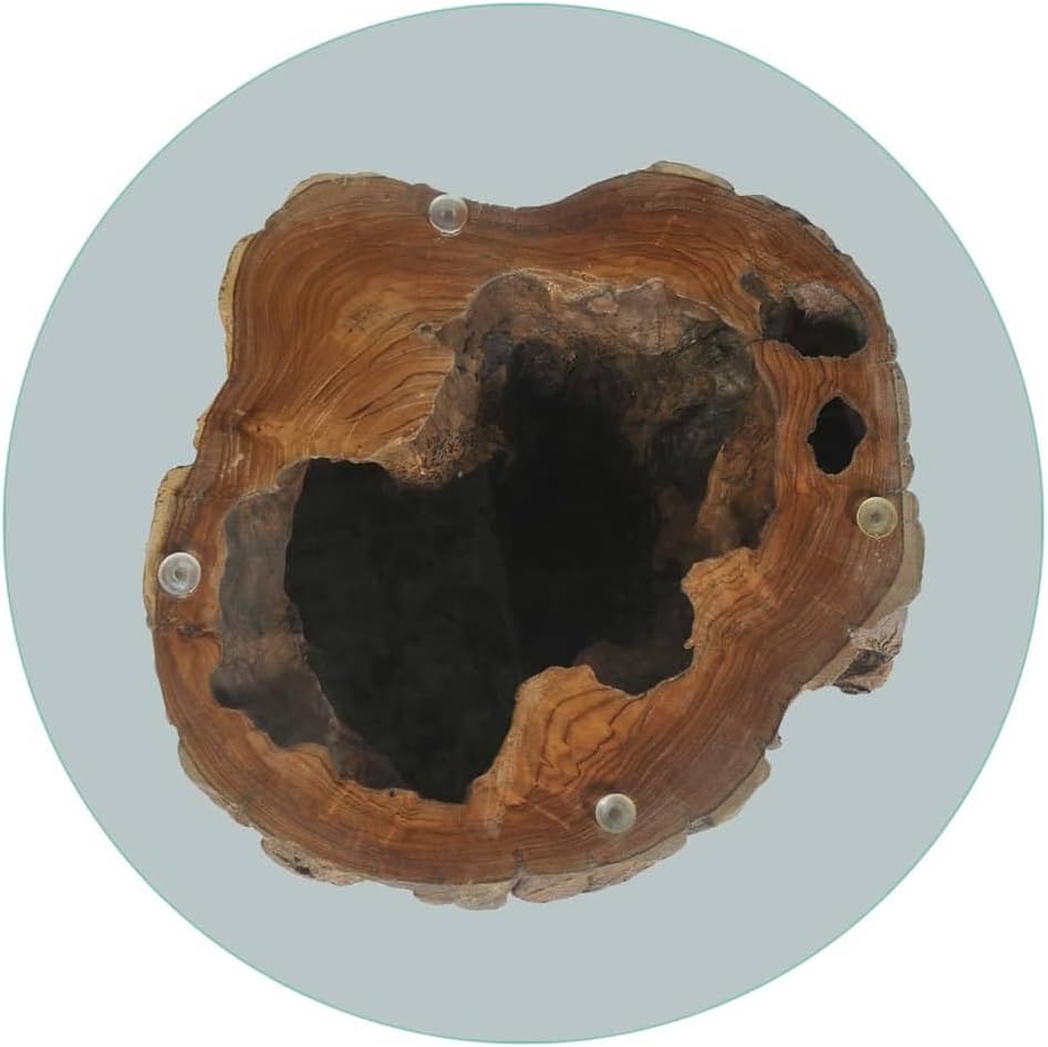 Teak Wood Stump Coffee Table with Tempered Glass Top O26377