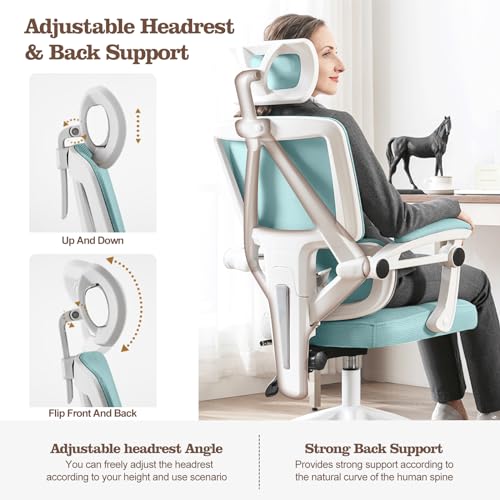 Ergonomic High Back Mesh Office Chair with Lumbar Support C196