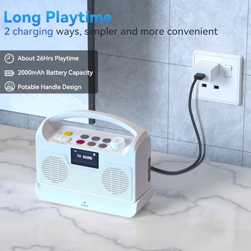 ANSTEN Portable Wireless TV Speaker for Elderly, Dual Bluetooth Loudspeakers with LCD Display E4919