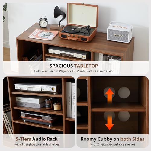 Stereo Cabinet with 5-Tier Shelves for Media Storage, Black T6960