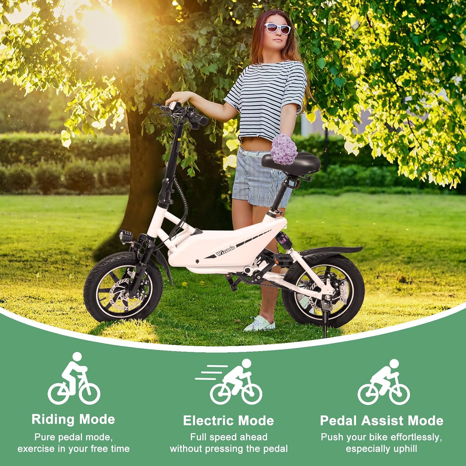 Winado 14" 350W Folding Electric Bike for Adults with Pedal and Dual Disc Brakes L805018