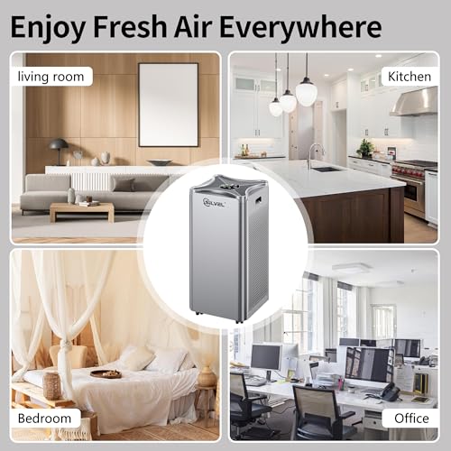 Air Purifier for Extra Large Room with H13 HEPA Washable Filter L613