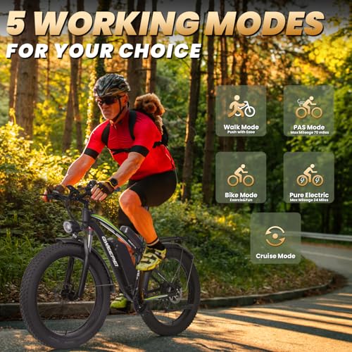 Dual Motor Electric Bike 3000W 23AH for Adults UL Certified L426