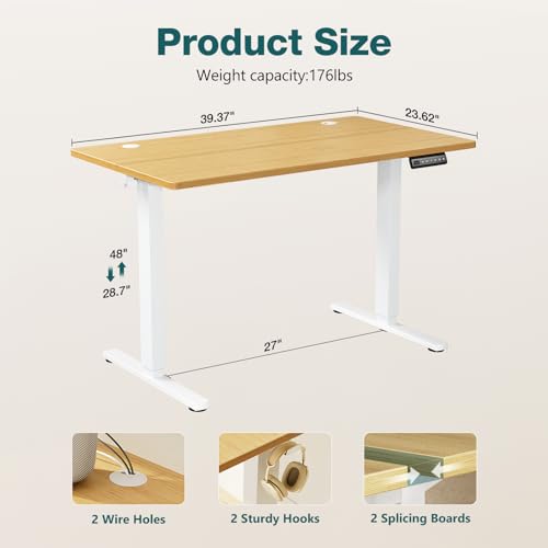 Adjustable Height Electric Standing Desk 55x24 Inch Black W5266