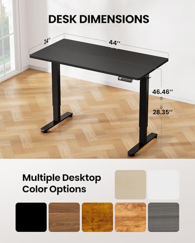 ErGear Height Adjustable Electric Standing Desk 48 x 24 Inches, Walnut S608