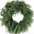 Soft Touch Green Norfolk Pine Christmas Wreath for Front Door E810109