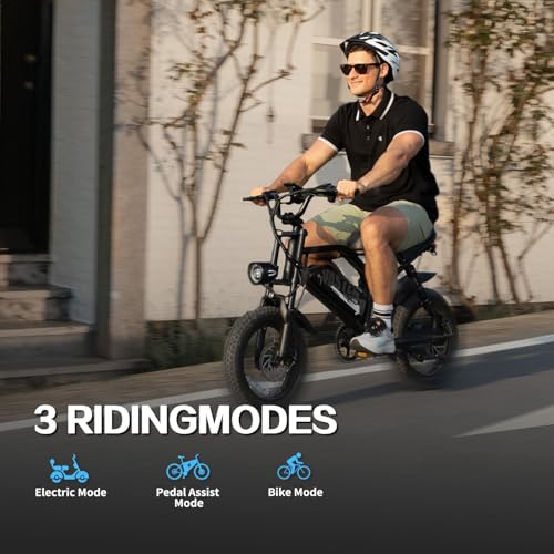 16'' Fat Tire Electric Bike for Adults, 500W, Removable Battery G58988