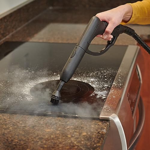 Wagner Spraytech 915e On-Demand Steam Cleaner & Wallpaper Removal, 18 Attachments D4490
