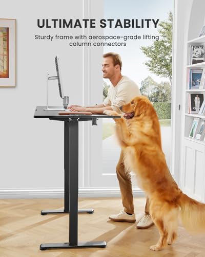 ErGear Height Adjustable Electric Standing Desk 48 x 24 Inches, Walnut S608