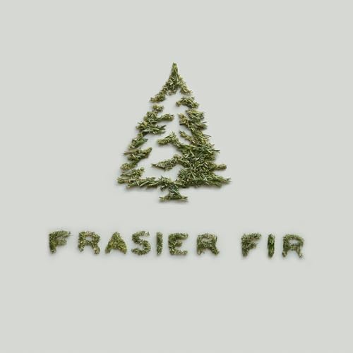 Thymes Frasier Fir Candle – Frosted Plaid Jar – Scented Holiday Candle (6.5 oz) D710