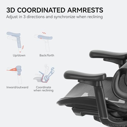 SIHOO Doro C300 Ergonomic Office Chair with 3D Armrests, Grey I3197