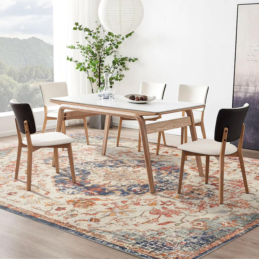 Large Washable Area Rug for Living Room 5x7, Boho Non Slip Low Pile Carpet C889