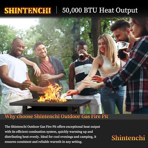 Shintenchi 28 Inch Propane Fire Pit Table with Lid and Lava Rock, Black L633