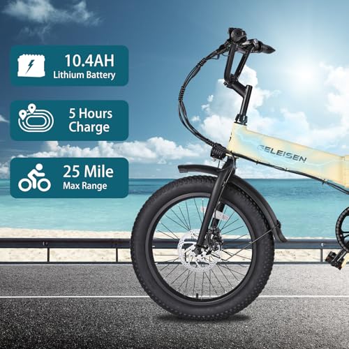 Folding Electric Bike for Adults, 20" Fat Tire, 374Wh Battery R9608