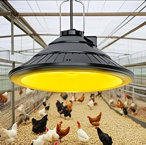 Solar Chicken Coop Light with Timer, Warm LED, IP66 Waterproof, 16.4ft Cord O57147